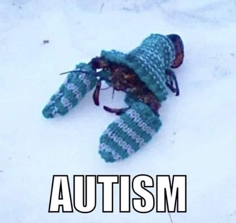lobster in mittens and a hat with the text autism