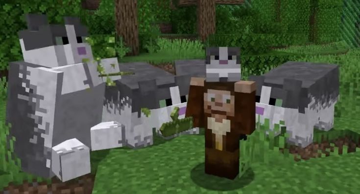 goodtimeswithscar holding a jellie cat in minecraft